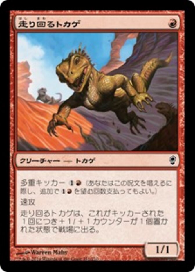 走り回るトカゲ