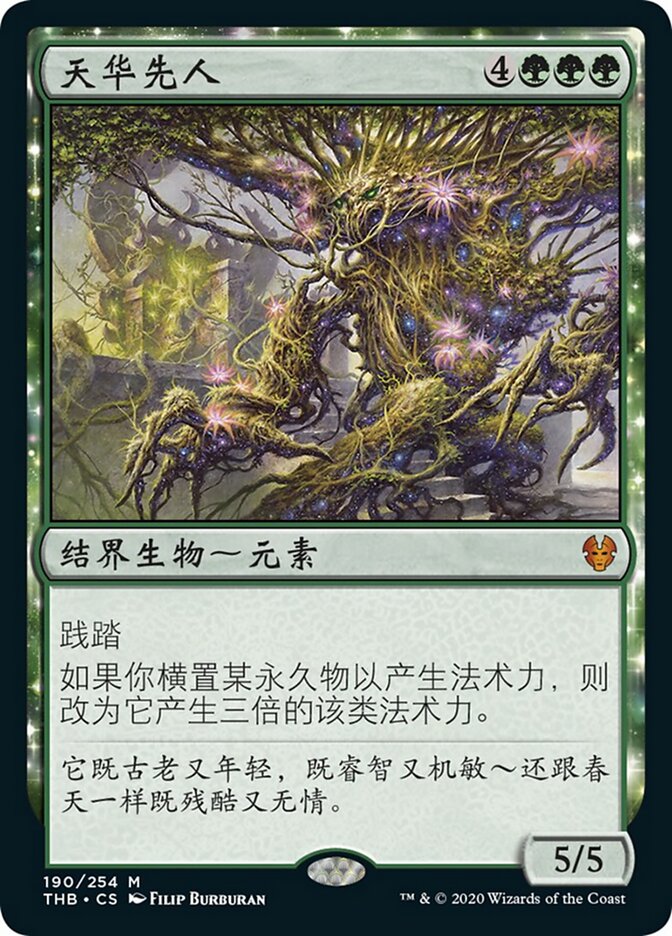 天华先人