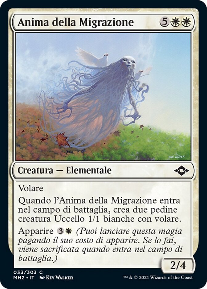 Anima della Migrazione