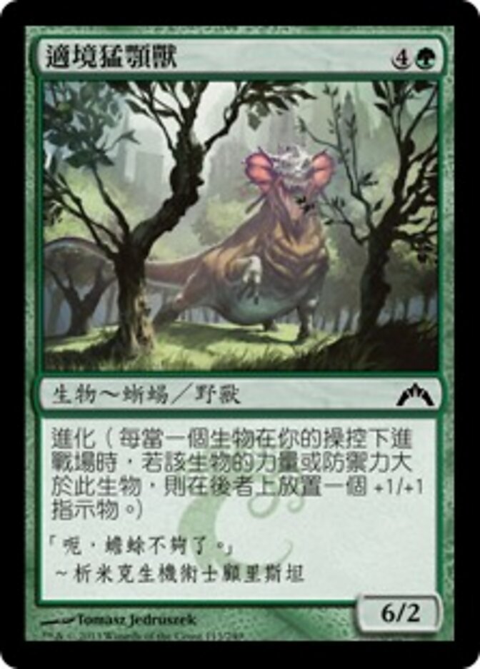 適境猛顎獸