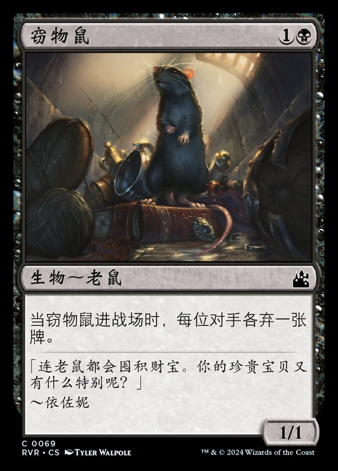 窃物鼠