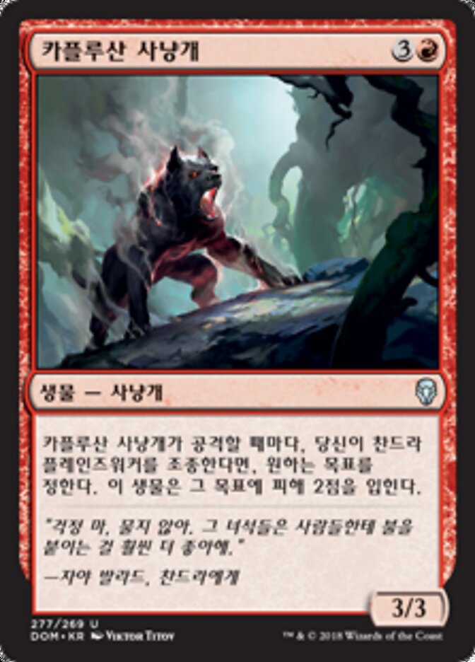 카플루산 사냥개