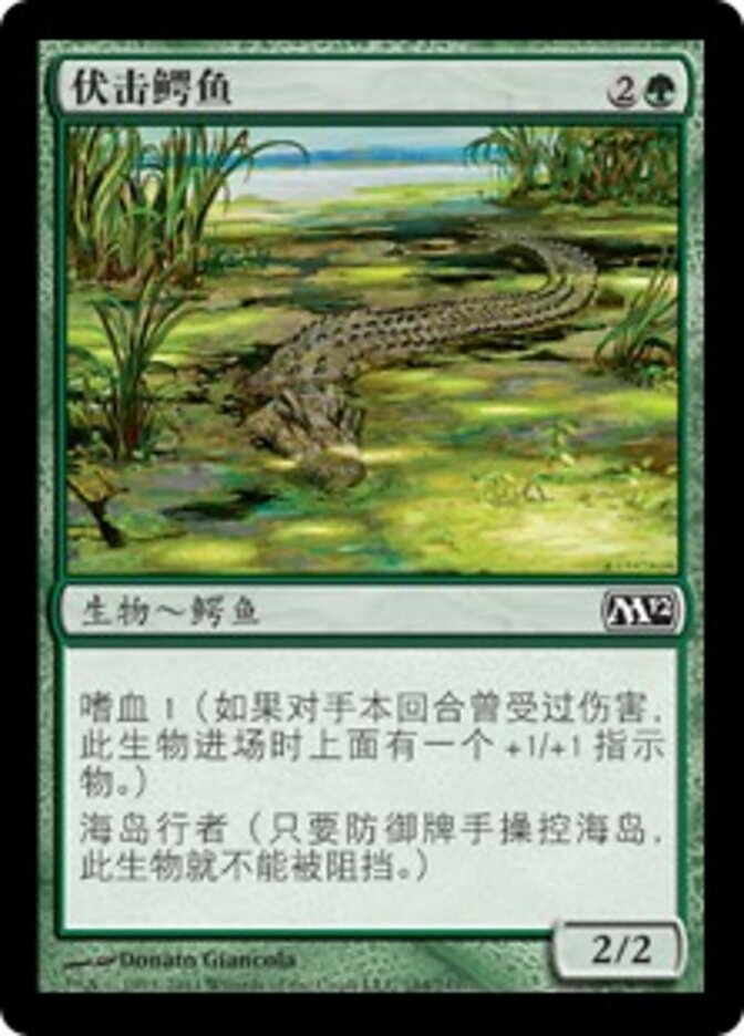 伏击鳄鱼