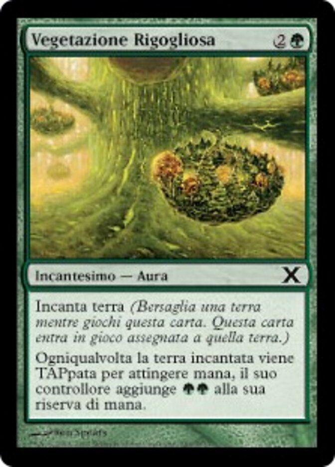 Vegetazione Rigogliosa