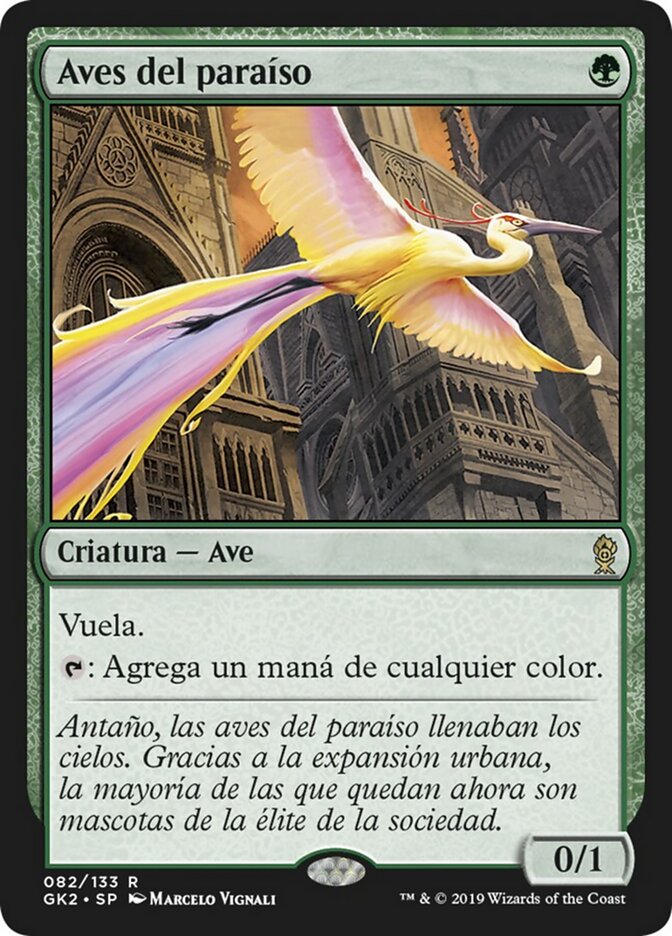 Aves del paraíso