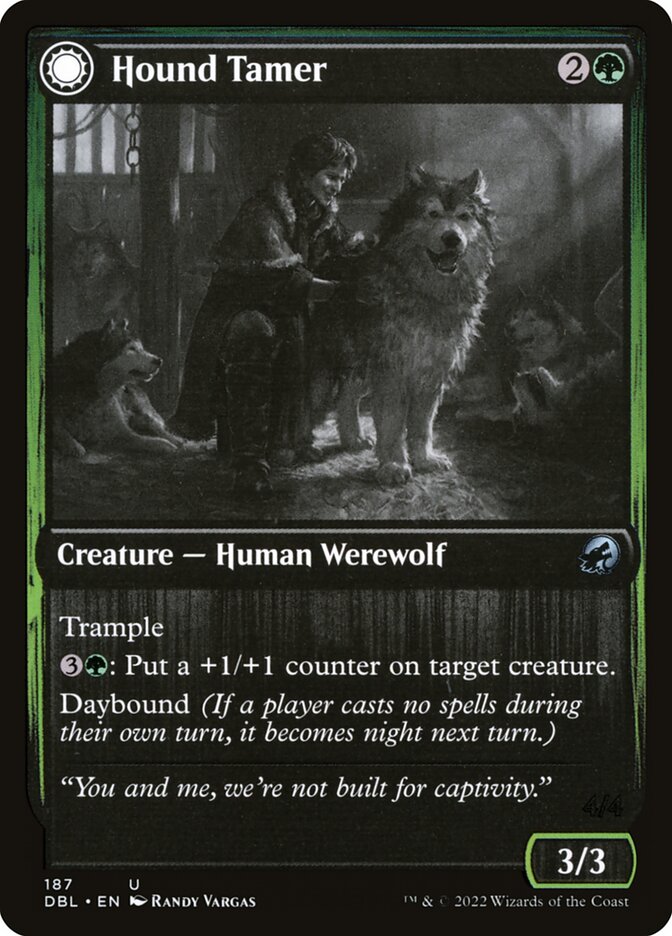 Domador de perros