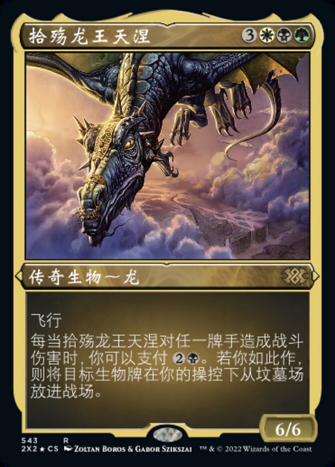 拾殇龙王天涅