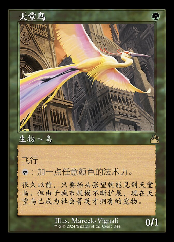 天堂鸟