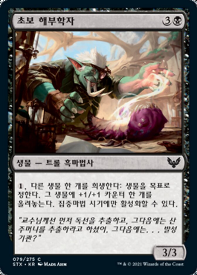 초보 해부학자