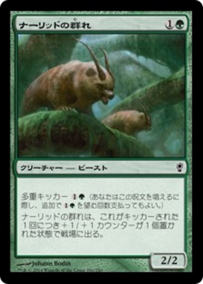 ナーリッドの群れ