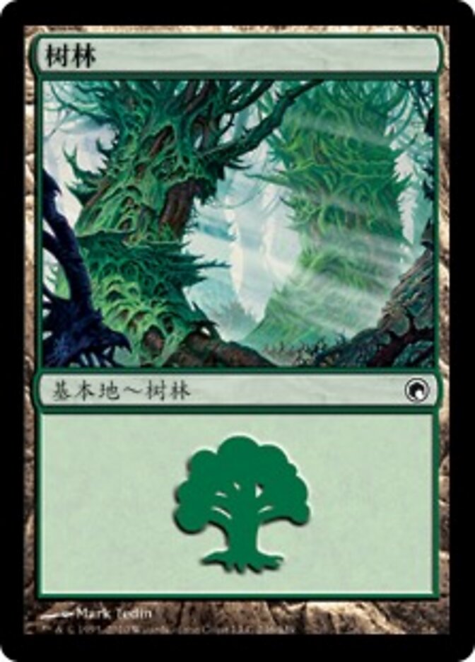 树林
