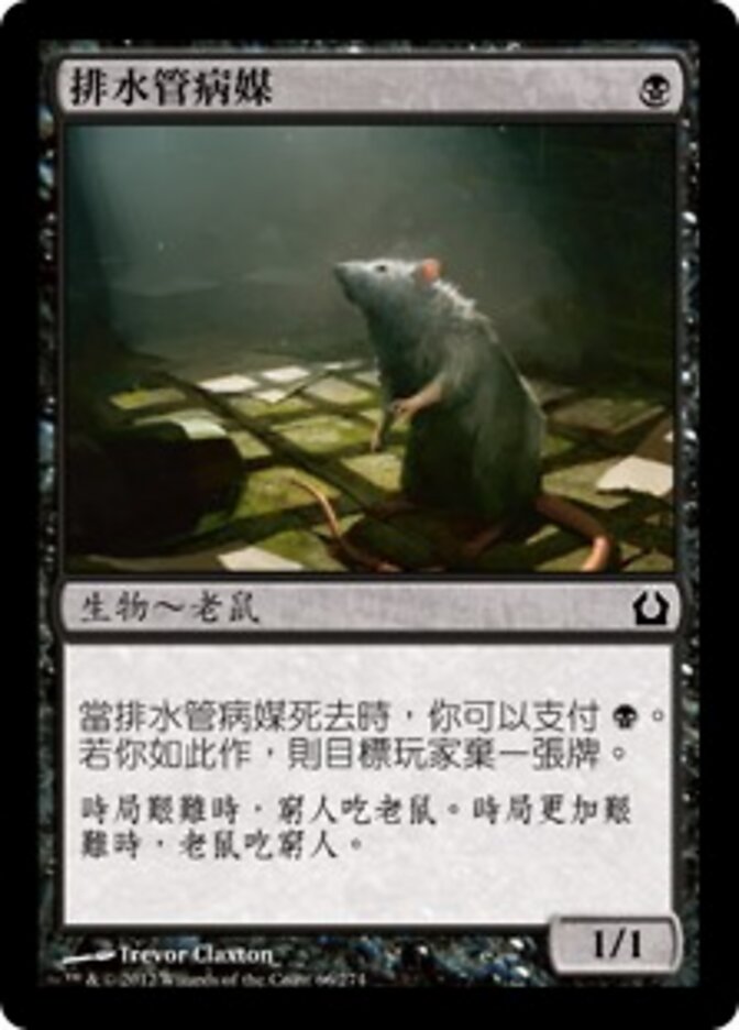 排水管病媒