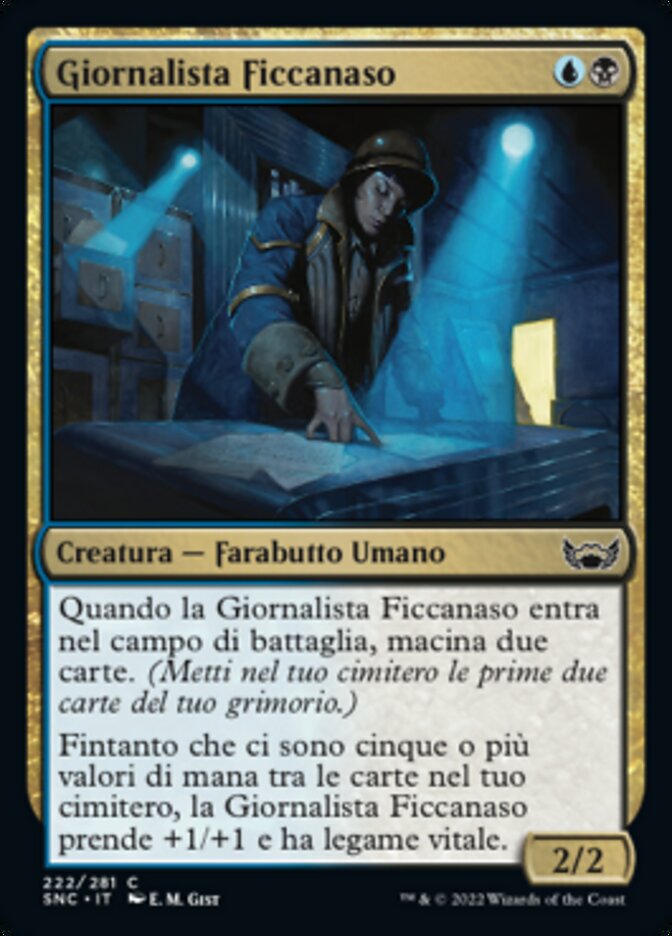 Giornalista Ficcanaso