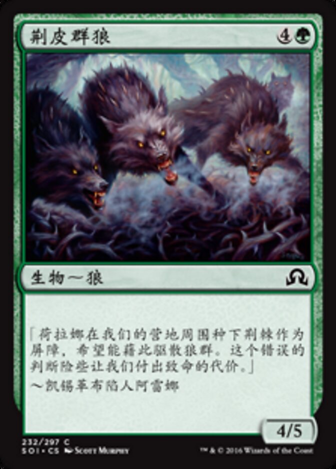 荆皮群狼