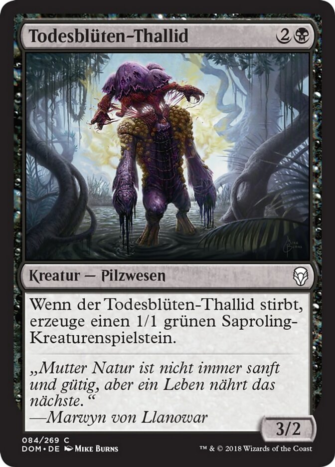 Todesblüten-Thallid