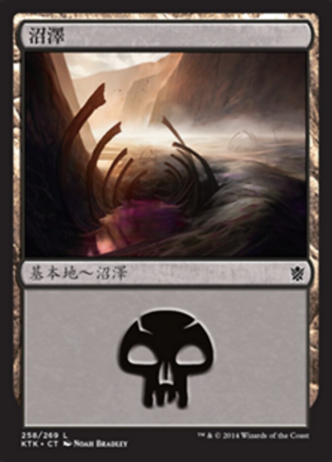 沼澤