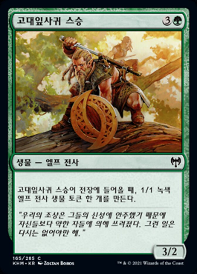 고대잎사귀 스승