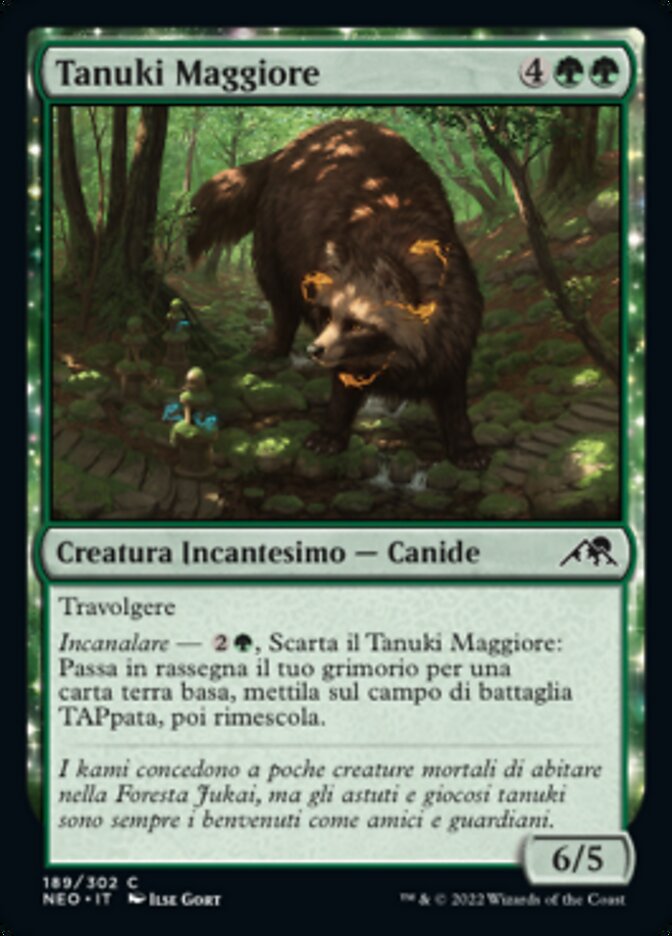 Tanuki Maggiore