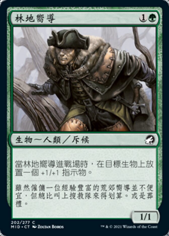 林地嚮導