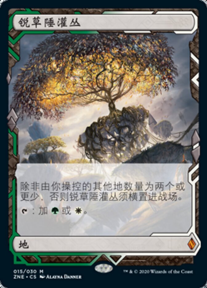 锐草陲灌丛