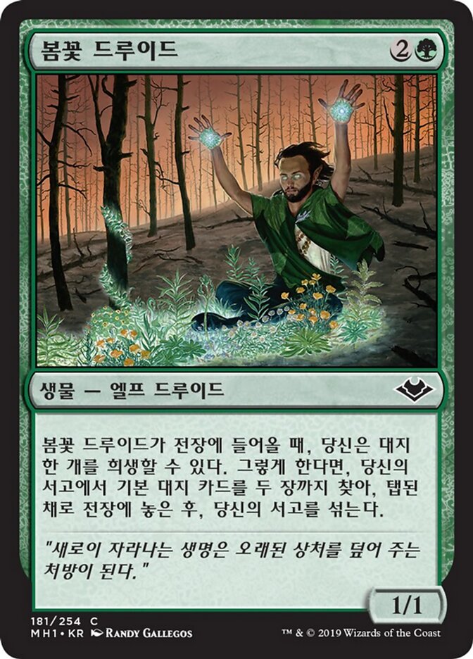 봄꽃 드루이드