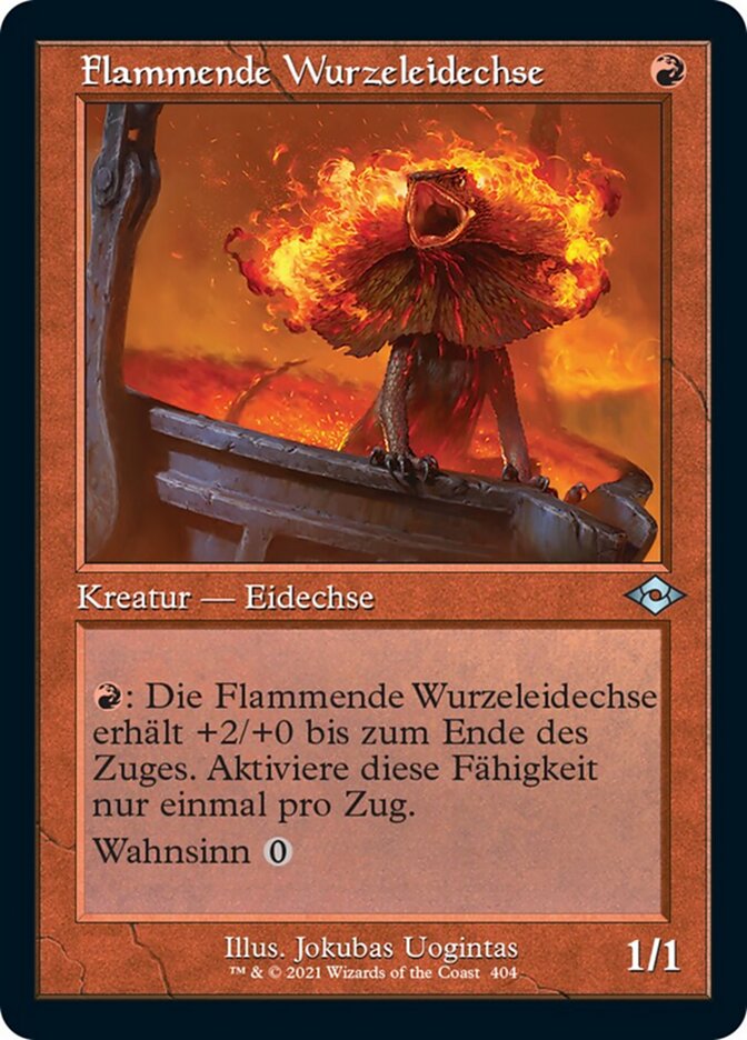 Flammende Wurzeleidechse