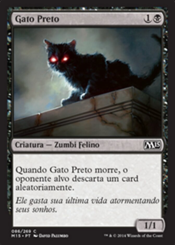 Gato Preto
