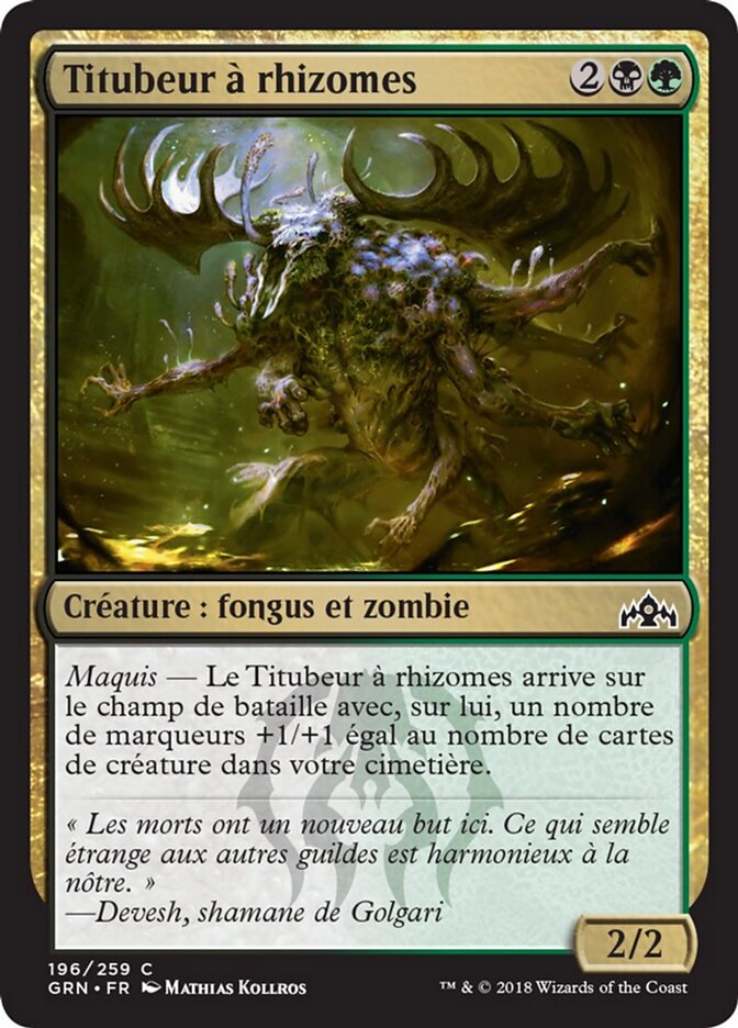 Titubeur à rhizomes