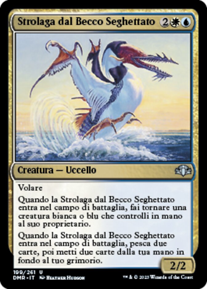 Strolaga dal Becco Seghettato