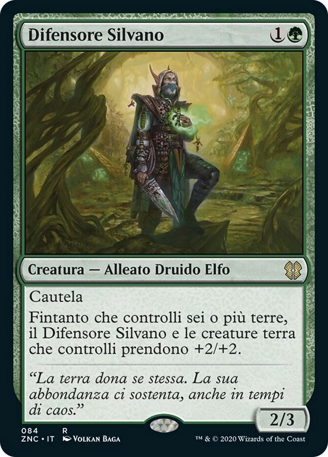 Difensore Silvano