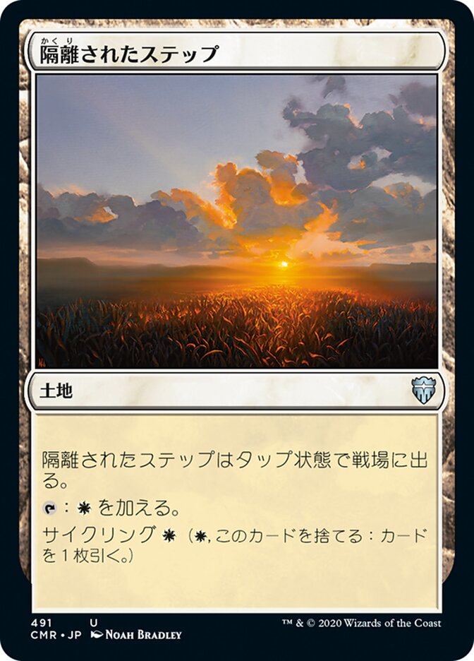 隔離されたステップ