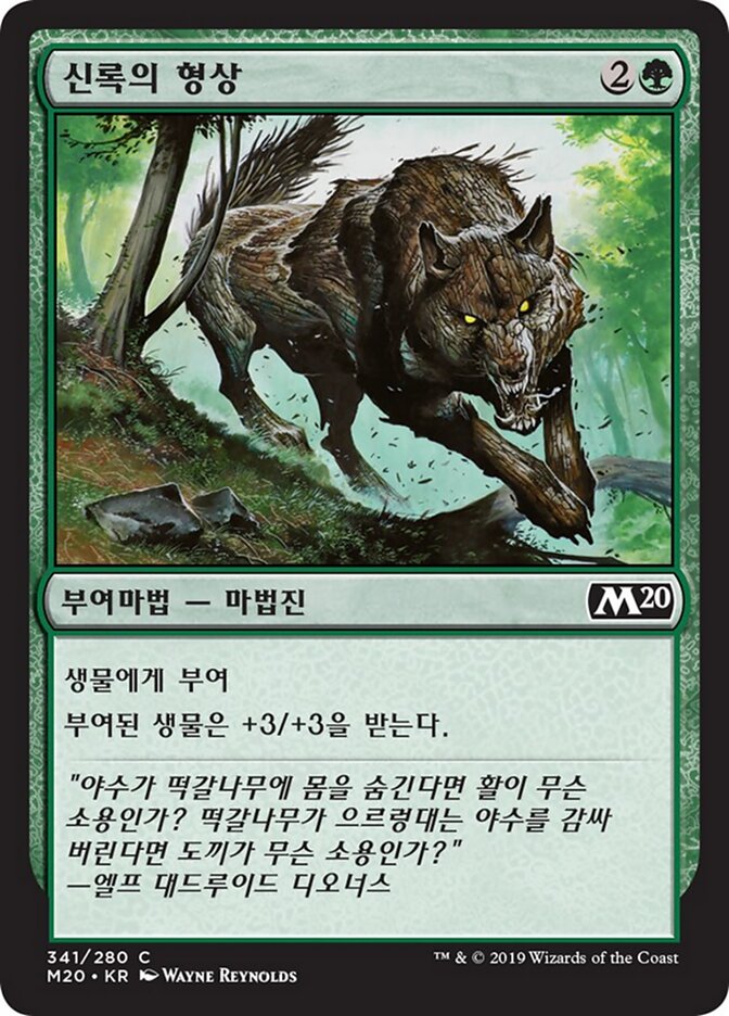 신록의 형상