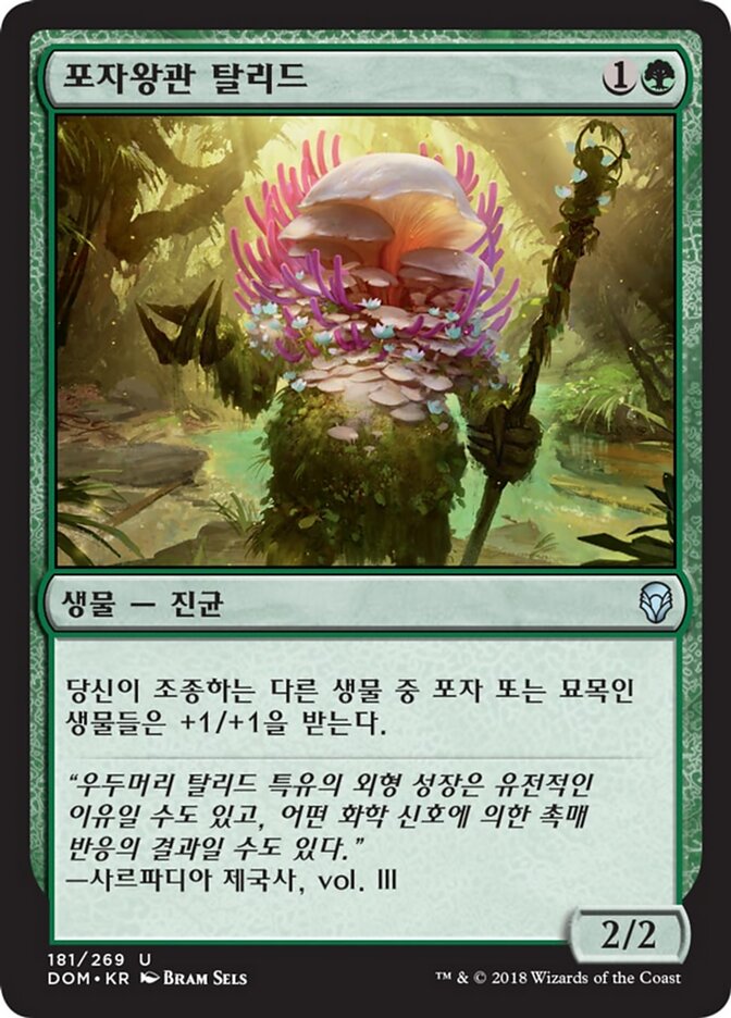 포자왕관 탈리드