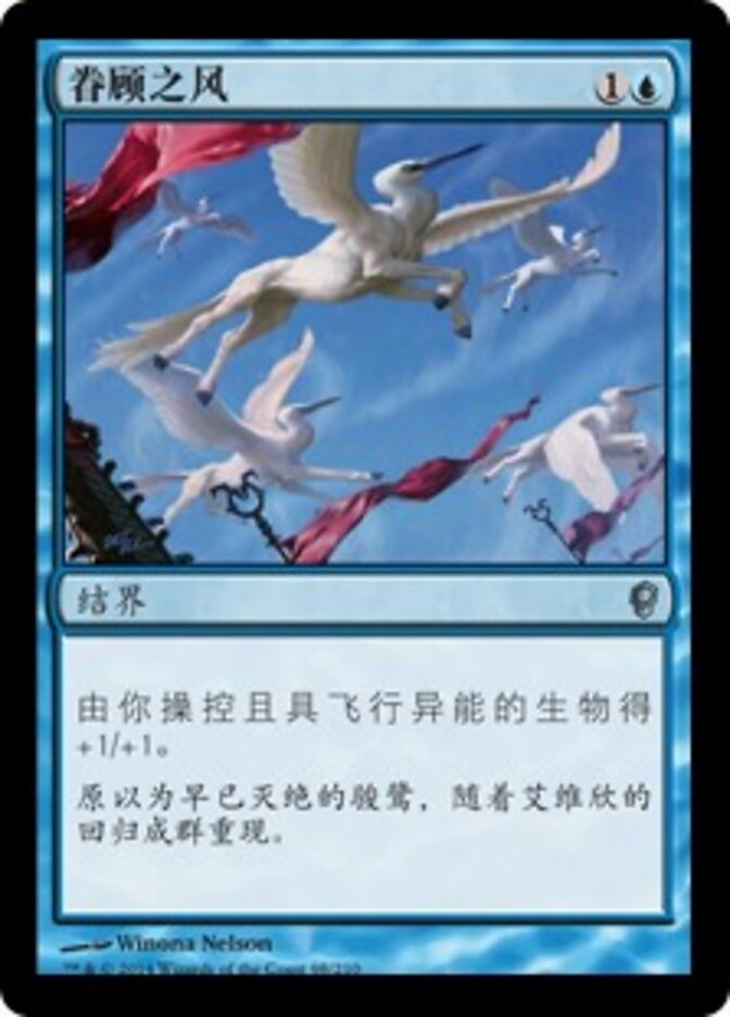 眷顾之风