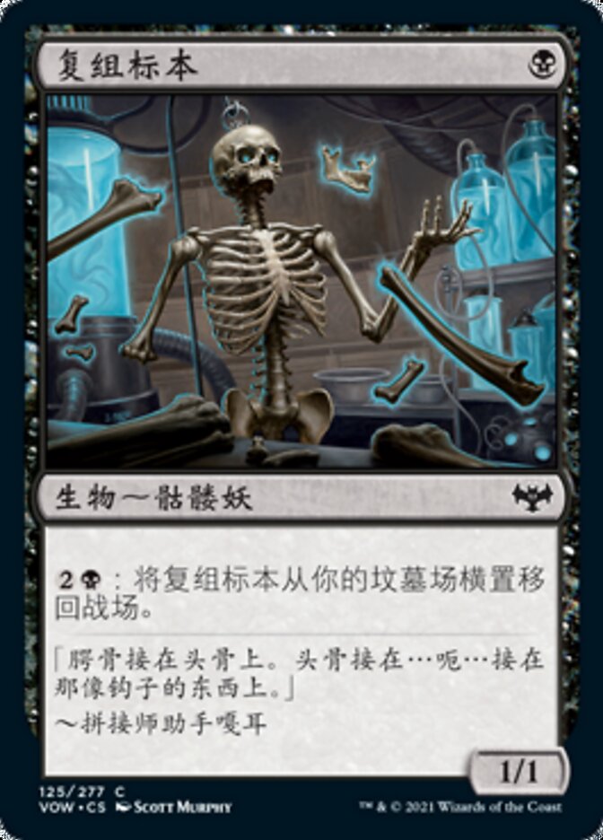 复组标本