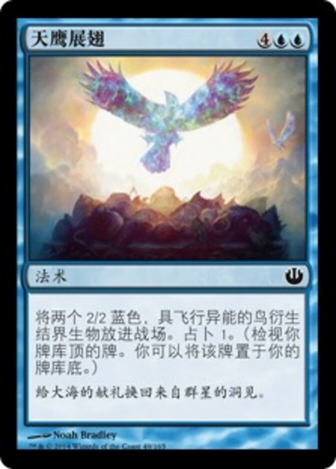 天鹰展翅