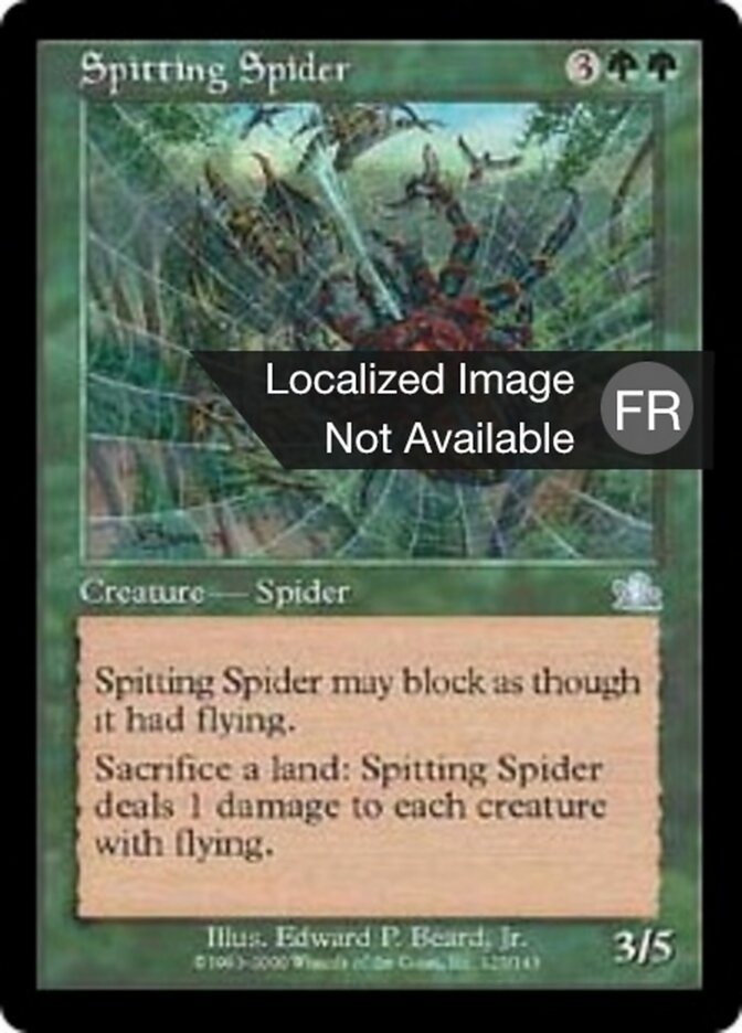 Araignée cracheuse