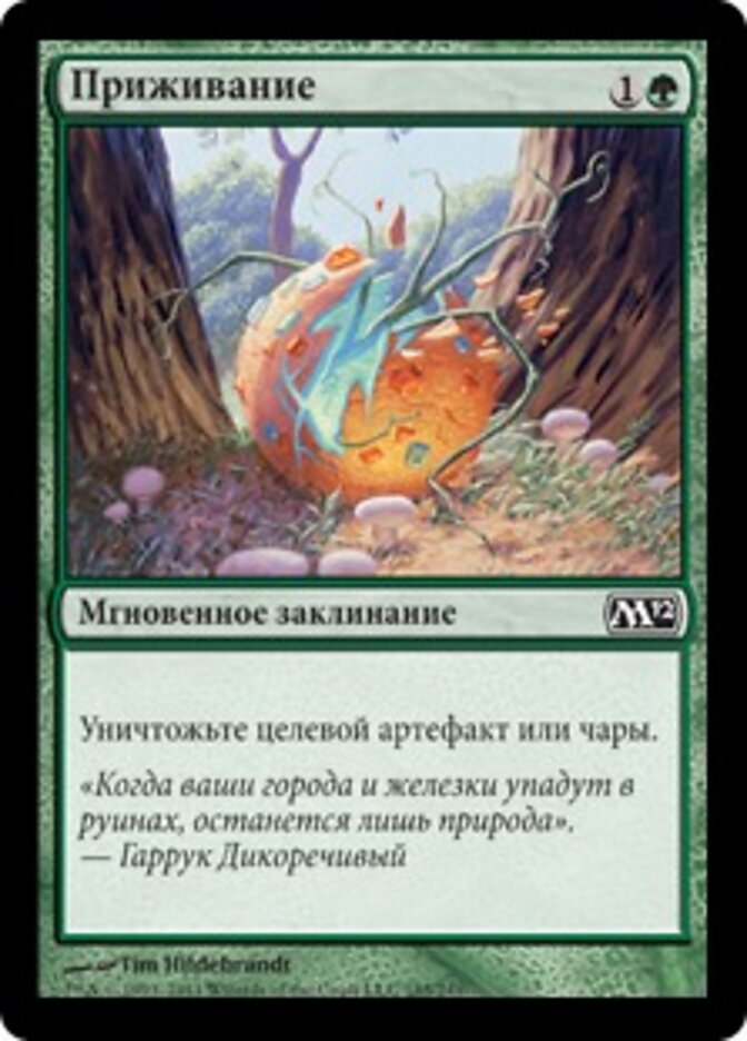 Приживание