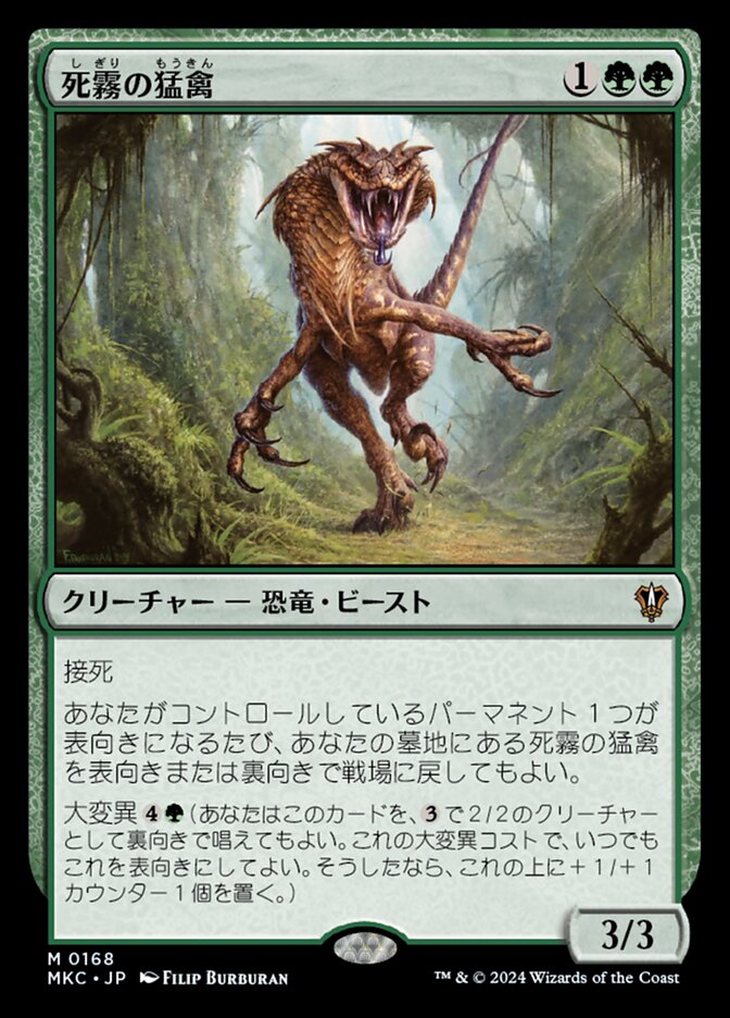 死霧の猛禽
