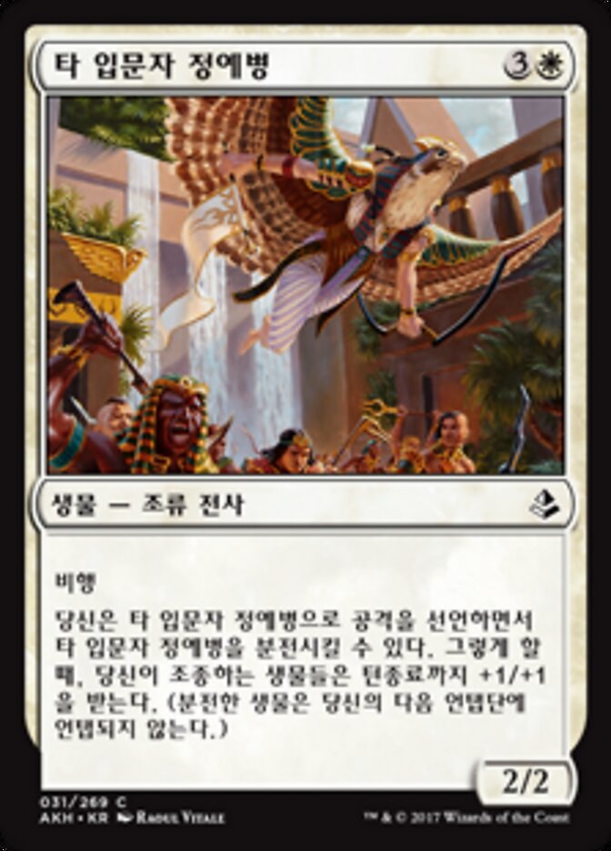 타 입문자 정예병