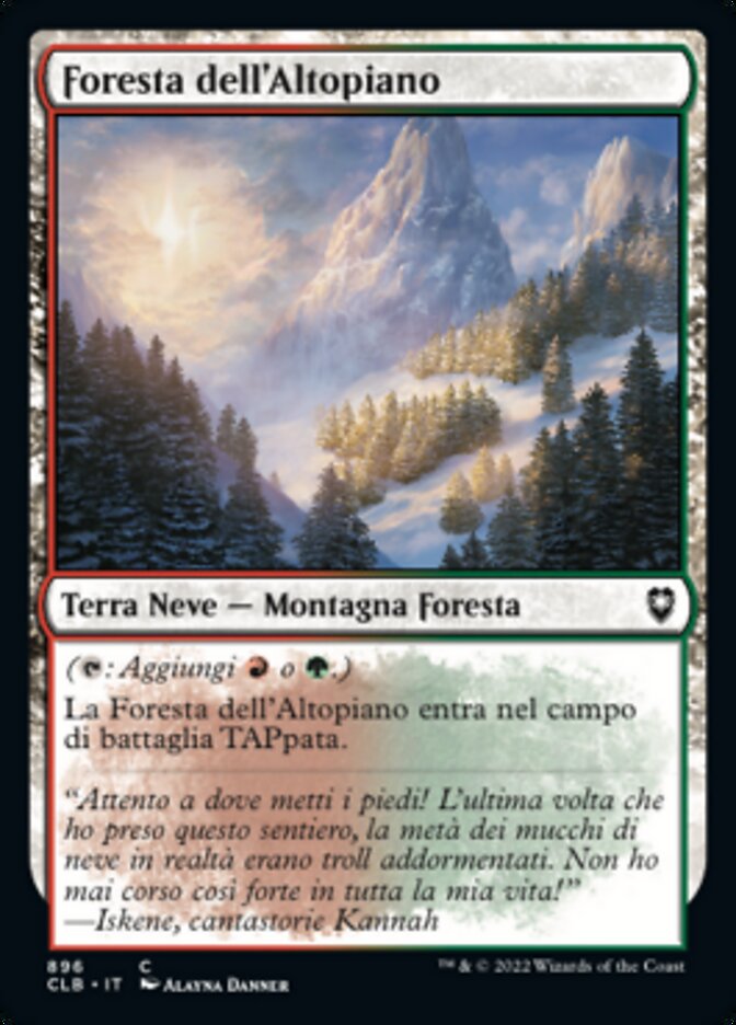 Foresta dell'Altopiano
