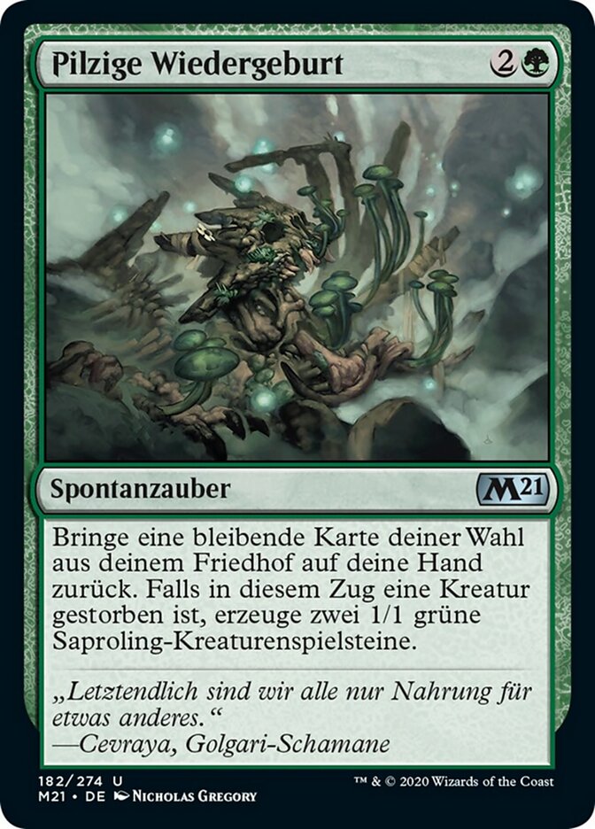 Pilzige Wiedergeburt