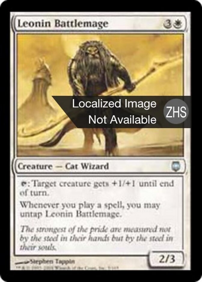 狮族战法术师