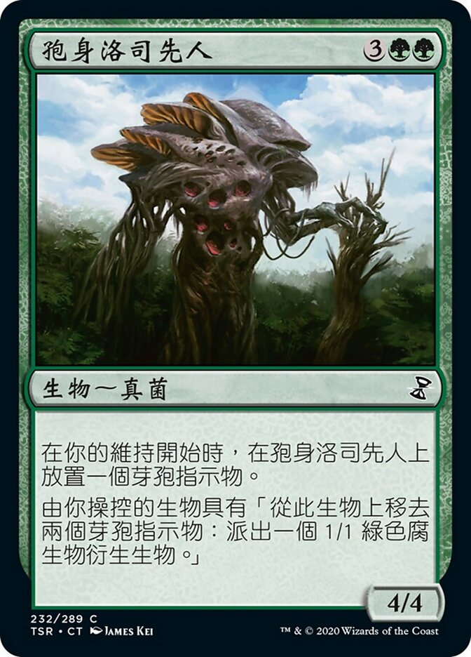 孢身洛司先人
