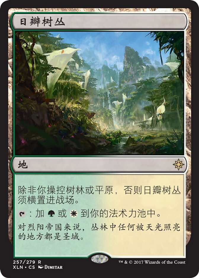日瓣树丛