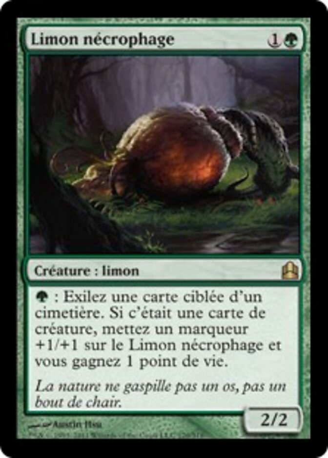 Limon nécrophage