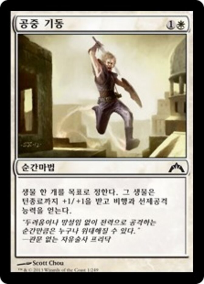 공중 기동