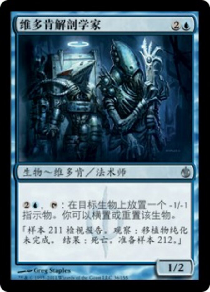 维多肯解剖学家