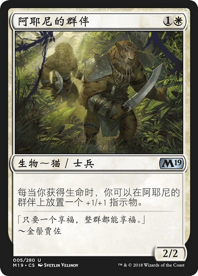 阿耶尼的群伴