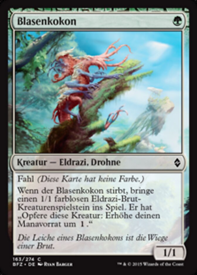 Blasenkokon
